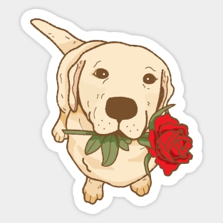 Golden Labrador with flower Sticker